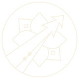 icon_fin
