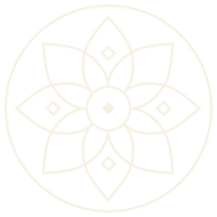 icon_in