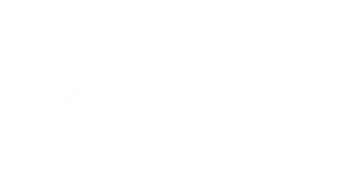 ANT International